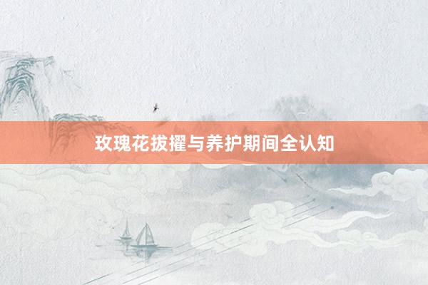 玫瑰花拔擢与养护期间全认知