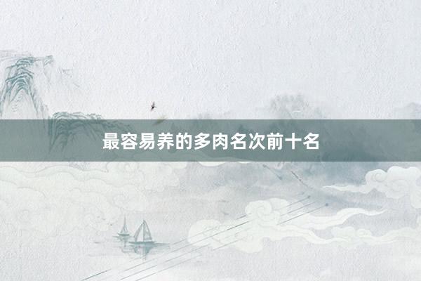 最容易养的多肉名次前十名