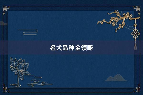名犬品种全领略